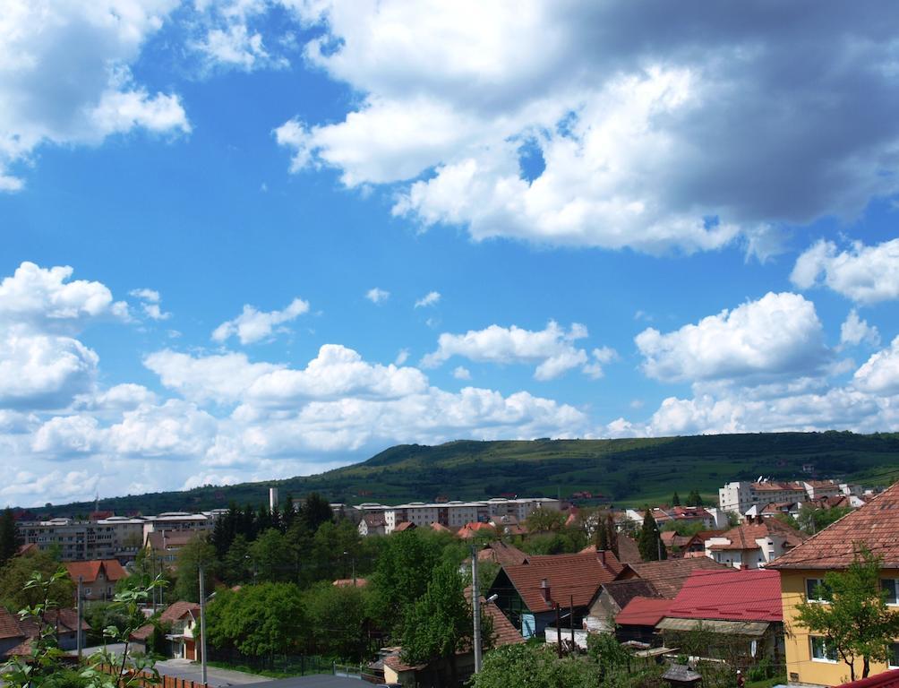 Pensiunea Elisabeta Sovata Bagian luar foto