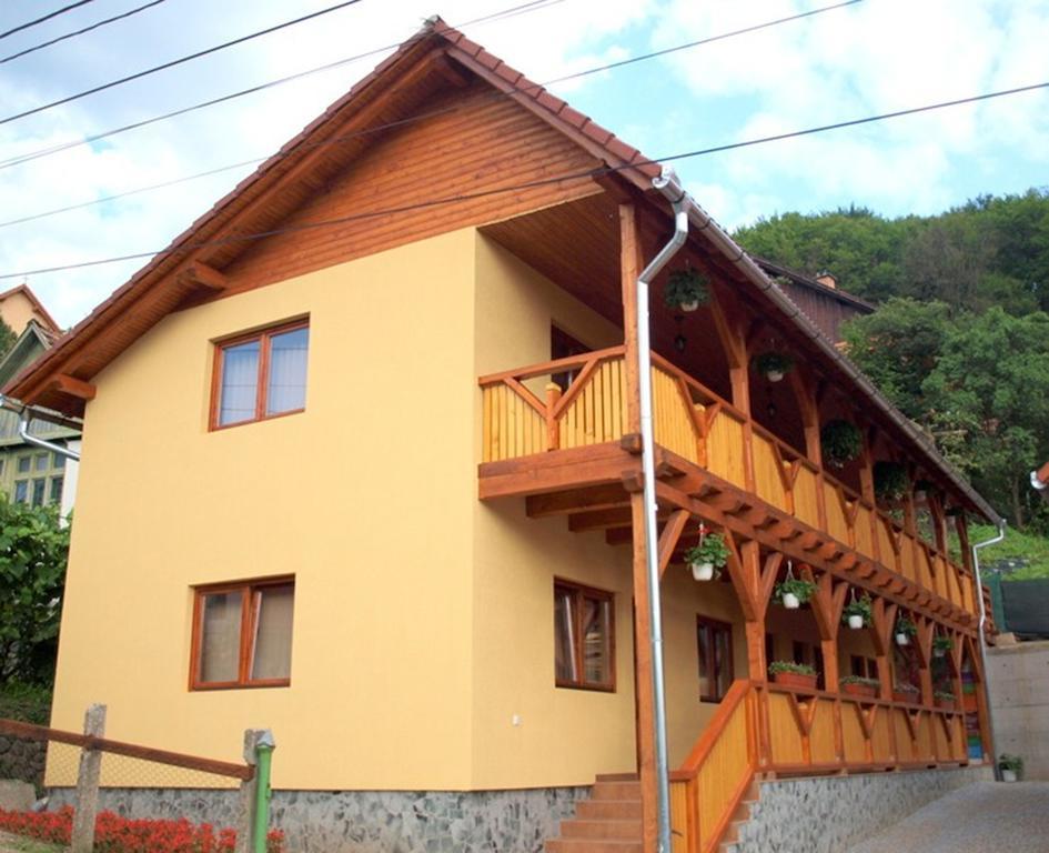 Pensiunea Elisabeta Sovata Bagian luar foto